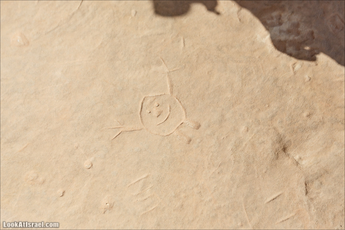 Хайкинг по тропе каньонов, дюна, ущелья и горы в долине Тимна | LookAtIsrael.com - Фото путешествия по Израилю