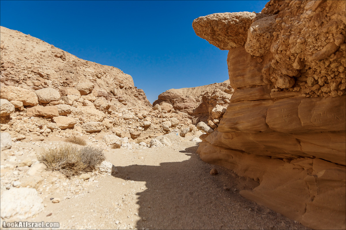 Хайкинг по тропе каньонов, дюна, ущелья и горы в долине Тимна | LookAtIsrael.com - Фото путешествия по Израилю