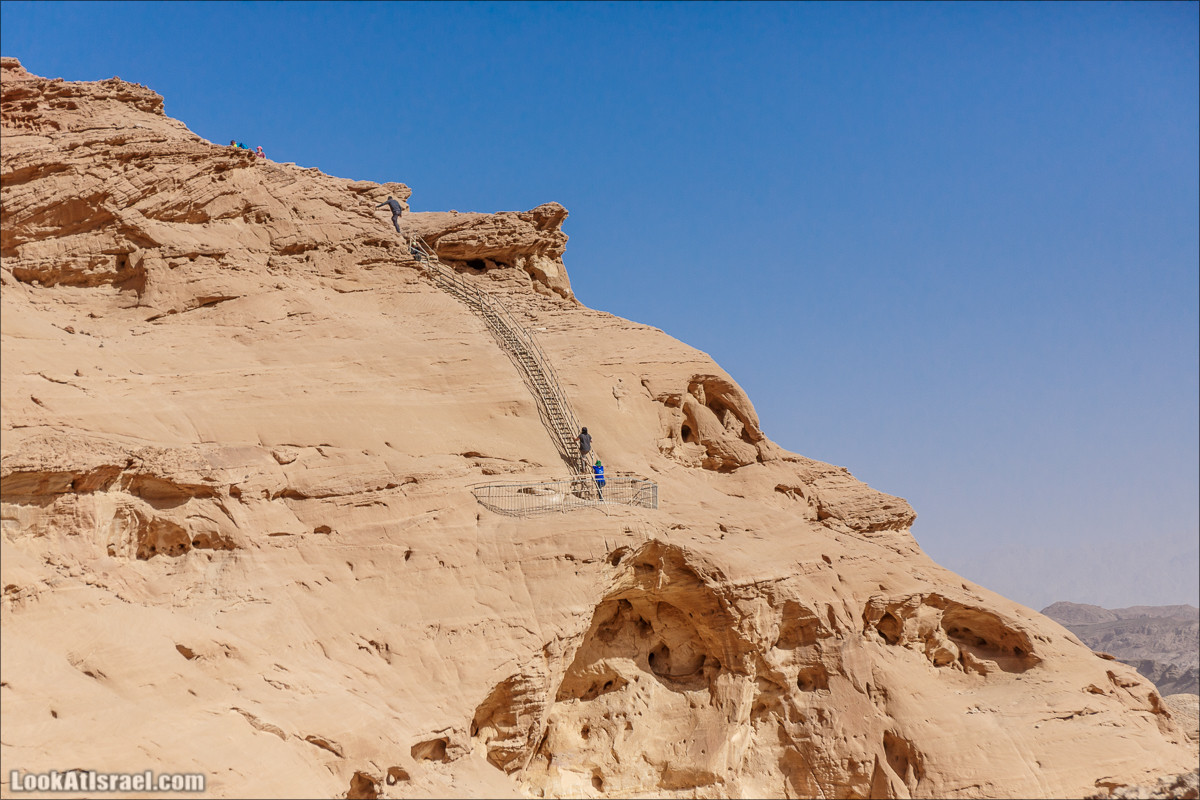 Хайкинг по тропе каньонов, дюна, ущелья и горы в долине Тимна | LookAtIsrael.com - Фото путешествия по Израилю