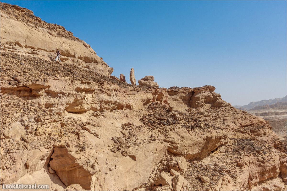 Хайкинг по тропе каньонов, дюна, ущелья и горы в долине Тимна | LookAtIsrael.com - Фото путешествия по Израилю