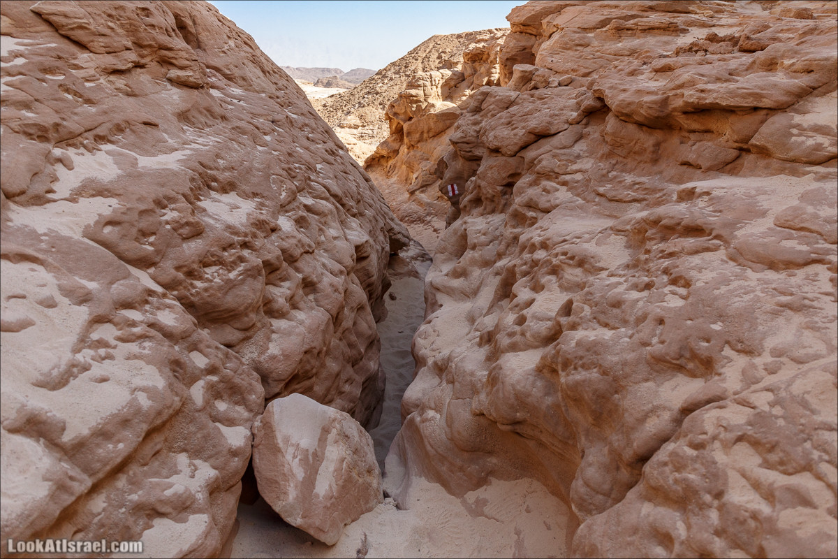 Хайкинг по тропе каньонов, дюна, ущелья и горы в долине Тимна | LookAtIsrael.com - Фото путешествия по Израилю