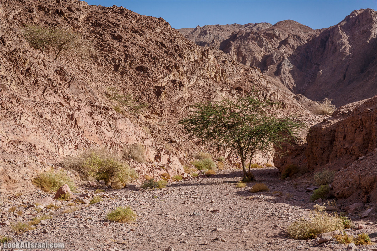 Гора Тимна и каньоны долины | LookAtIsrael.com - Фото путешествия по Израилю