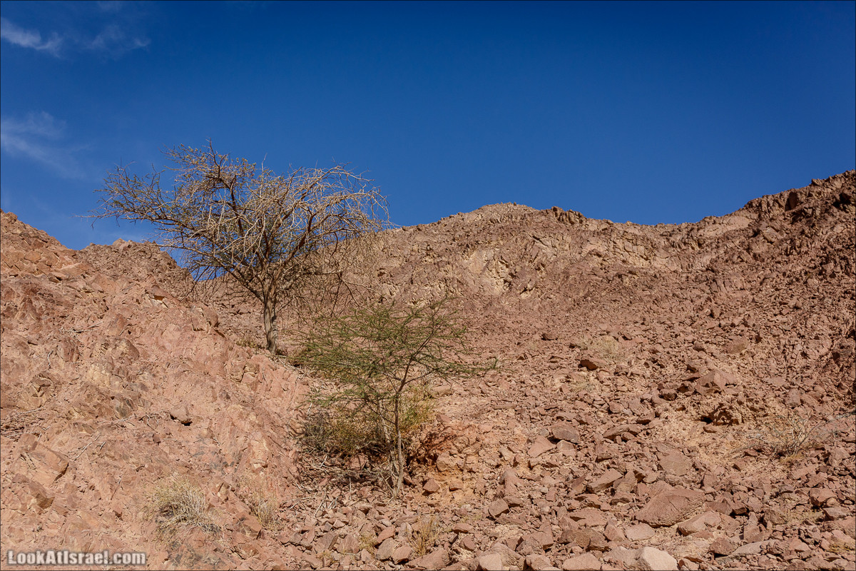 Гора Тимна и каньоны долины | LookAtIsrael.com - Фото путешествия по Израилю
