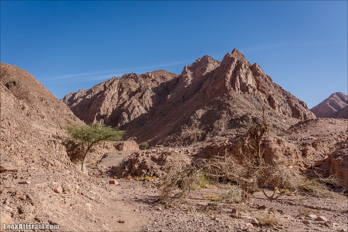 Гора Тимна и каньоны долины | LookAtIsrael.com - Фото путешествия по Израилю