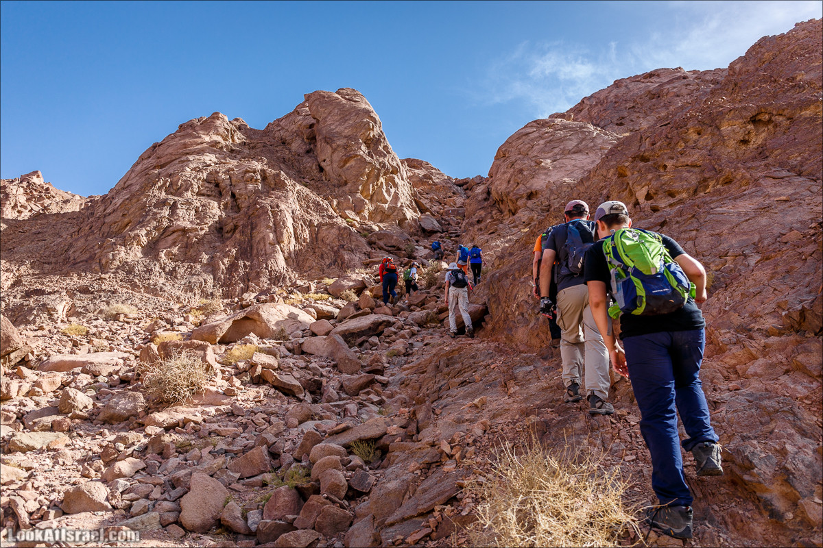 Гора Тимна и каньоны долины | LookAtIsrael.com - Фото путешествия по Израилю