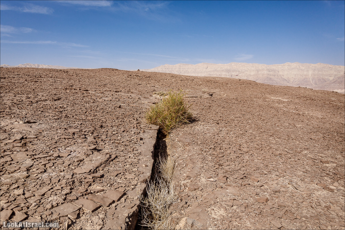 Гора Тимна и каньоны долины | LookAtIsrael.com - Фото путешествия по Израилю