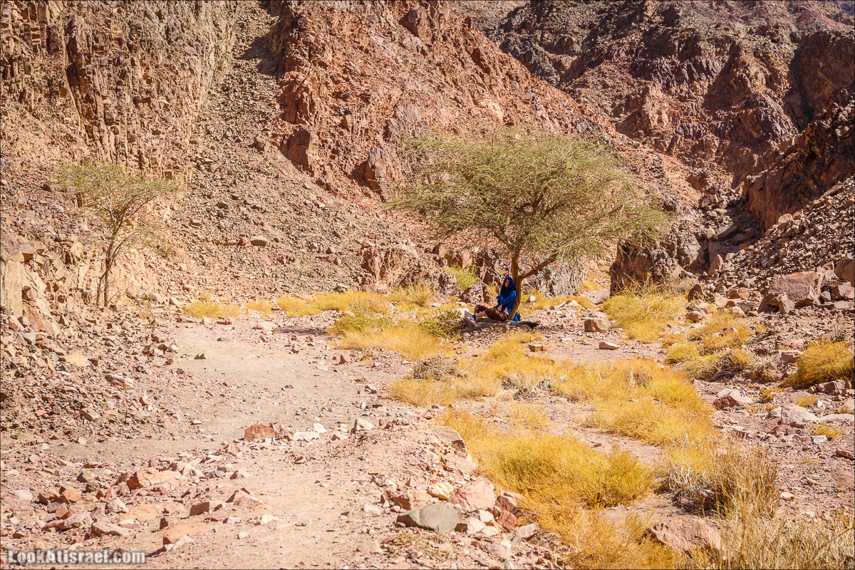 Гора Тимна и каньоны долины | LookAtIsrael.com - Фото путешествия по Израилю