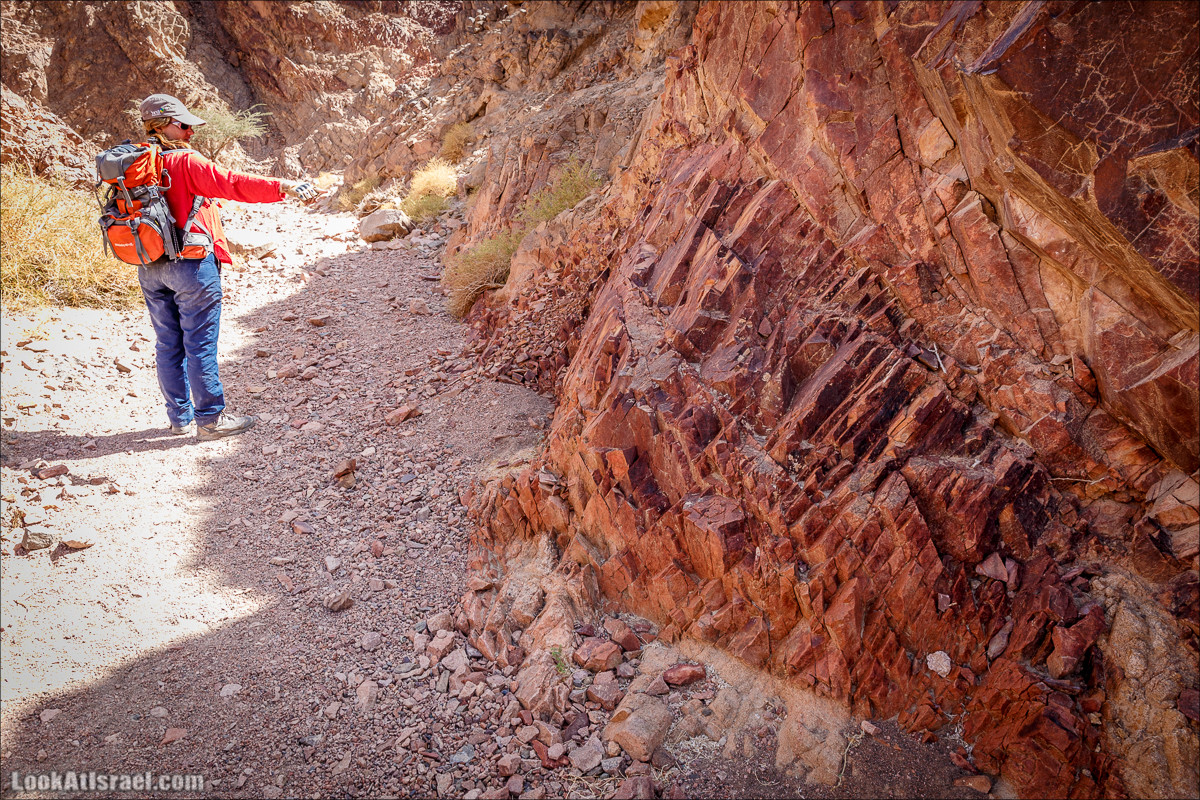 Гора Тимна и каньоны долины | LookAtIsrael.com - Фото путешествия по Израилю