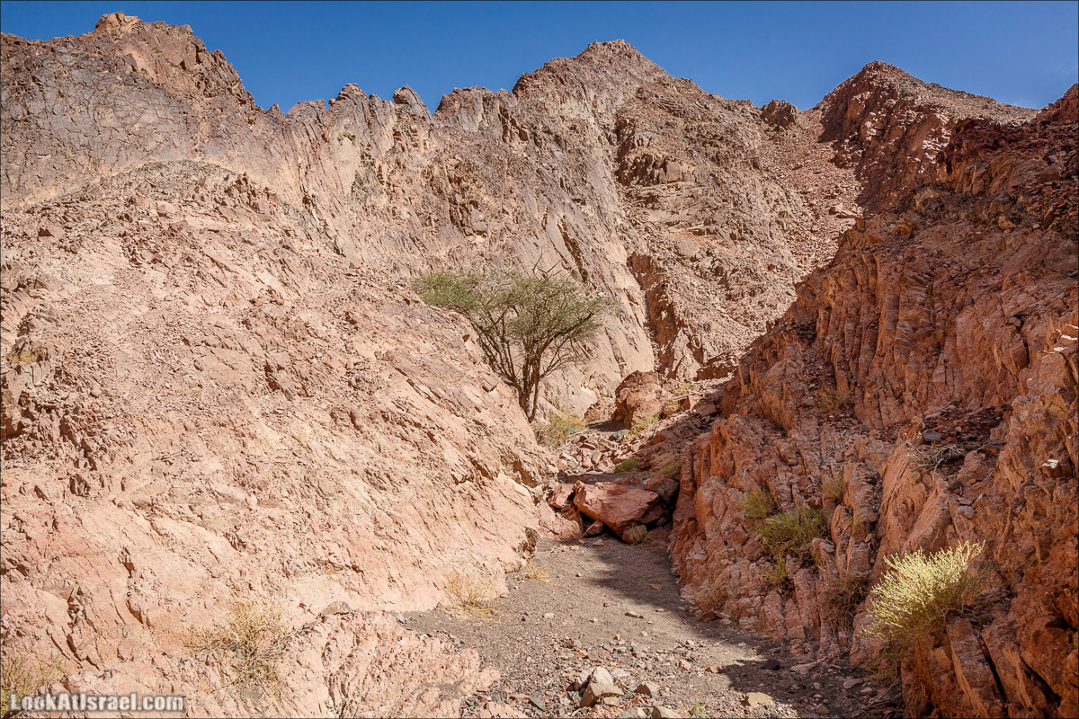 Гора Тимна и каньоны долины | LookAtIsrael.com - Фото путешествия по Израилю