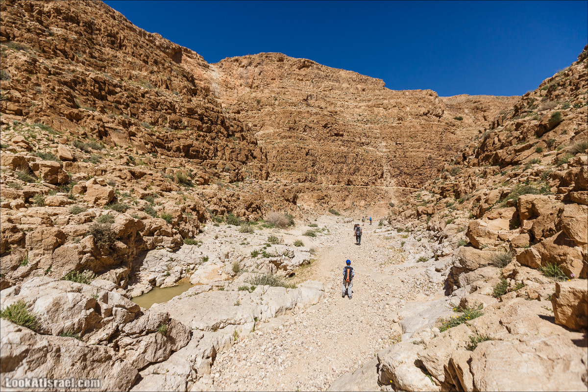 Ущелье Кина и развалины Уза и Радум | LookAtIsrael.com - Фото путешествия по Израилю
