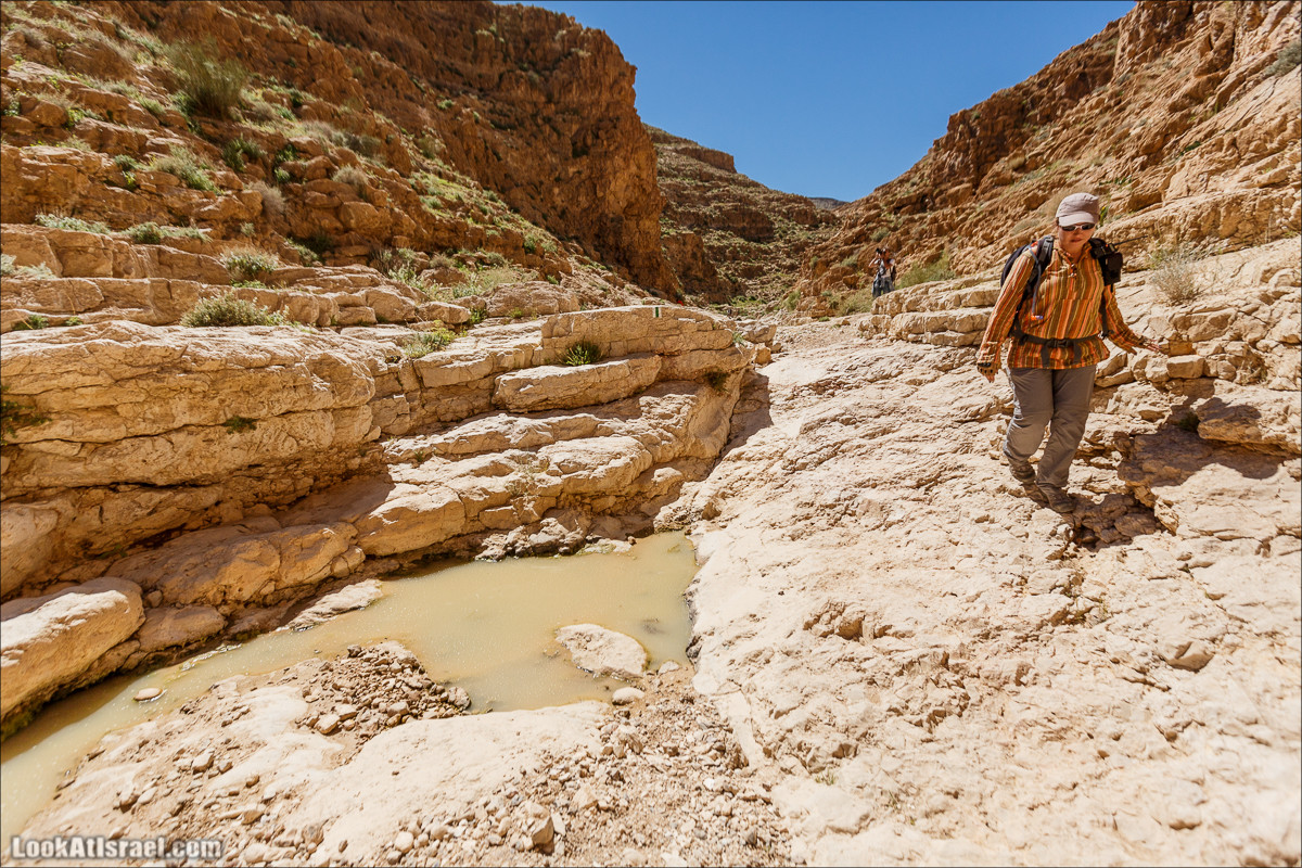 Ущелье Кина и развалины Уза и Радум | LookAtIsrael.com - Фото путешествия по Израилю