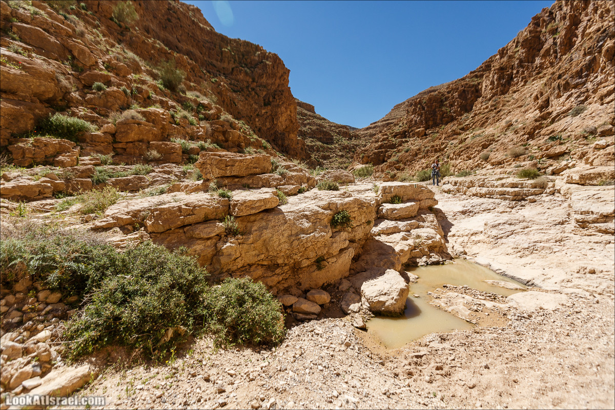 Ущелье Кина и развалины Уза и Радум | LookAtIsrael.com - Фото путешествия по Израилю