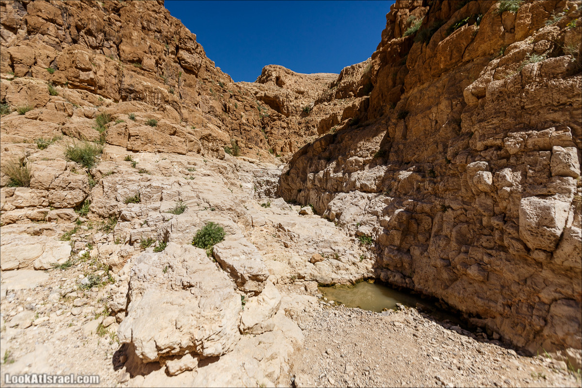 Ущелье Кина и развалины Уза и Радум | LookAtIsrael.com - Фото путешествия по Израилю