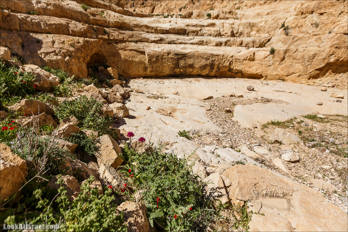 Ущелье Кина и развалины Уза и Радум | LookAtIsrael.com - Фото путешествия по Израилю