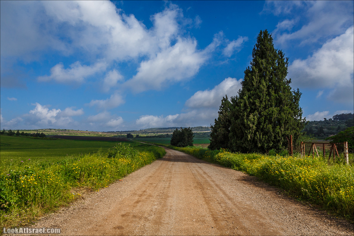 Дорога благой вести. От Карней Хитин к Кинерету | LookAtIsrael.com - Фото путешествия по Израилю