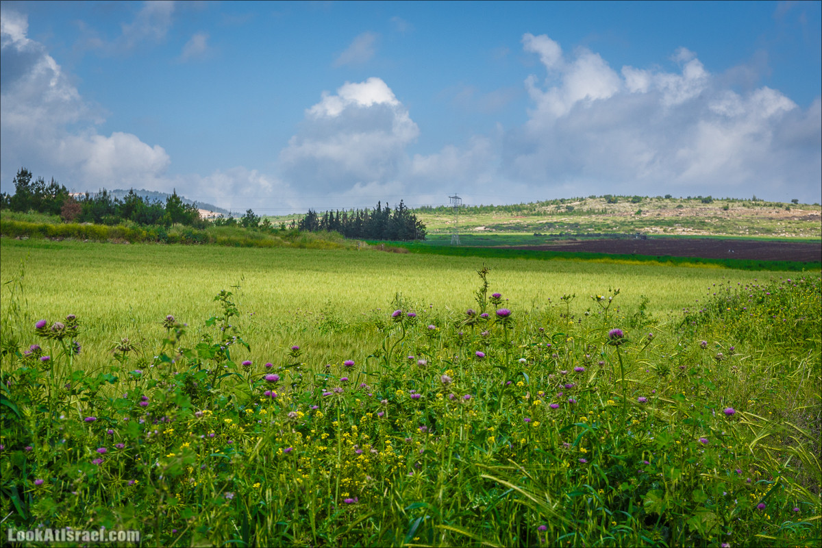 Дорога благой вести. От Карней Хитин к Кинерету | LookAtIsrael.com - Фото путешествия по Израилю