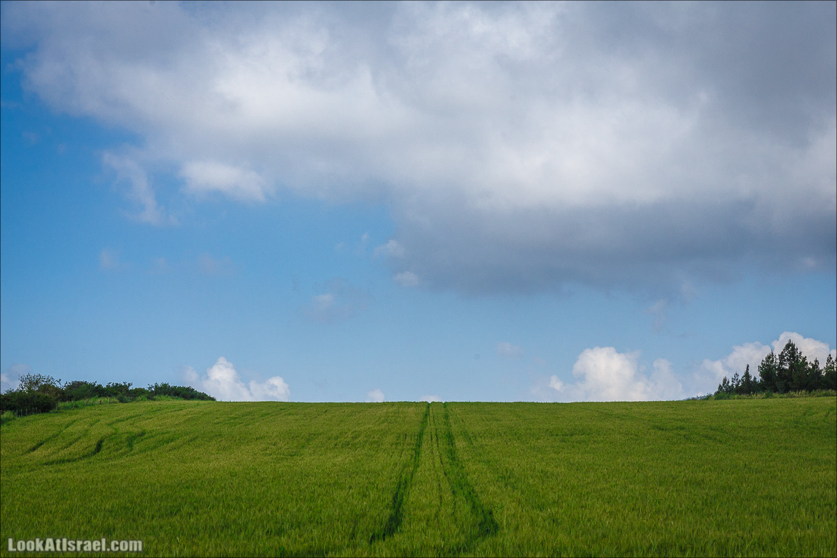 Дорога благой вести. От Карней Хитин к Кинерету | LookAtIsrael.com - Фото путешествия по Израилю