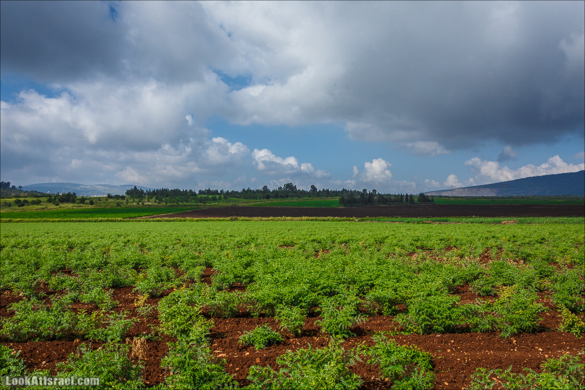 Дорога благой вести. От Карней Хитин к Кинерету | LookAtIsrael.com - Фото путешествия по Израилю