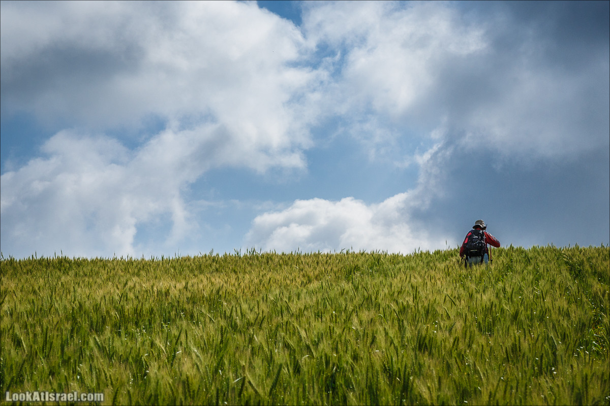 Дорога благой вести. От Карней Хитин к Кинерету | LookAtIsrael.com - Фото путешествия по Израилю