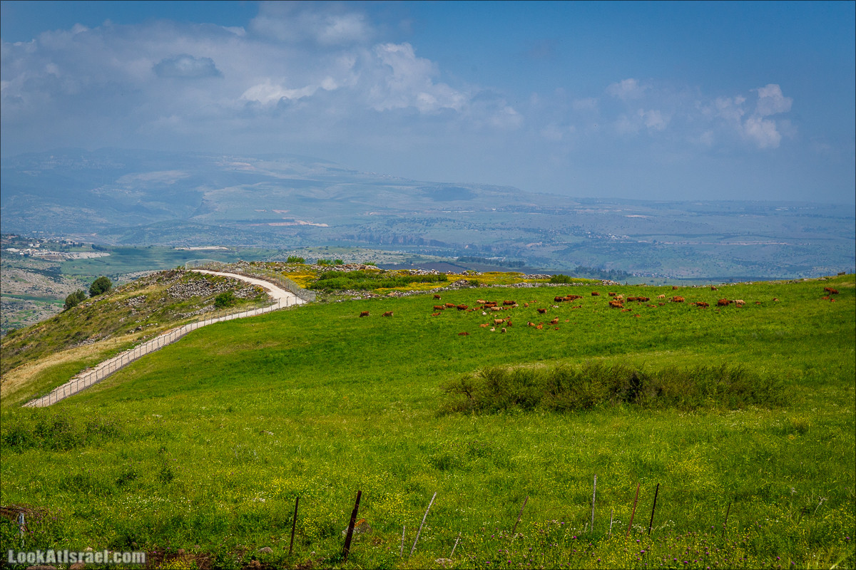 Дорога благой вести. От Карней Хитин к Кинерету | LookAtIsrael.com - Фото путешествия по Израилю
