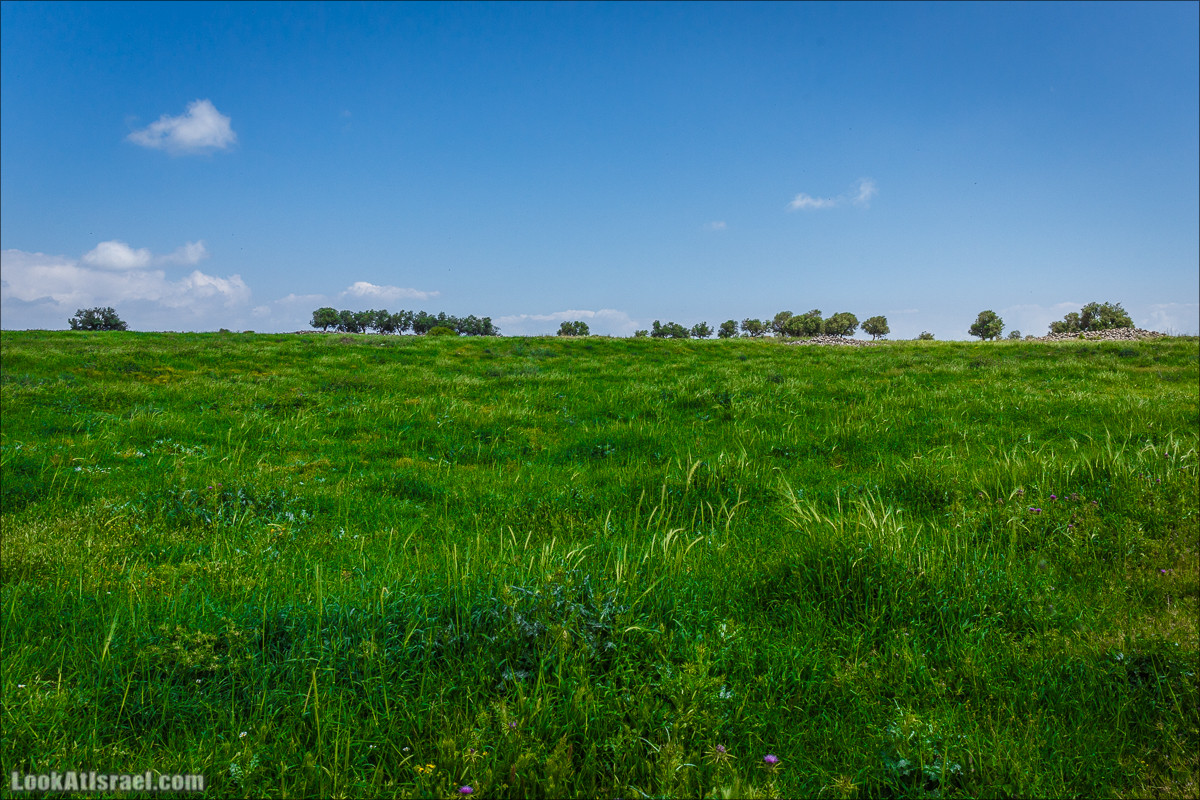 Дорога благой вести. От Карней Хитин к Кинерету | LookAtIsrael.com - Фото путешествия по Израилю