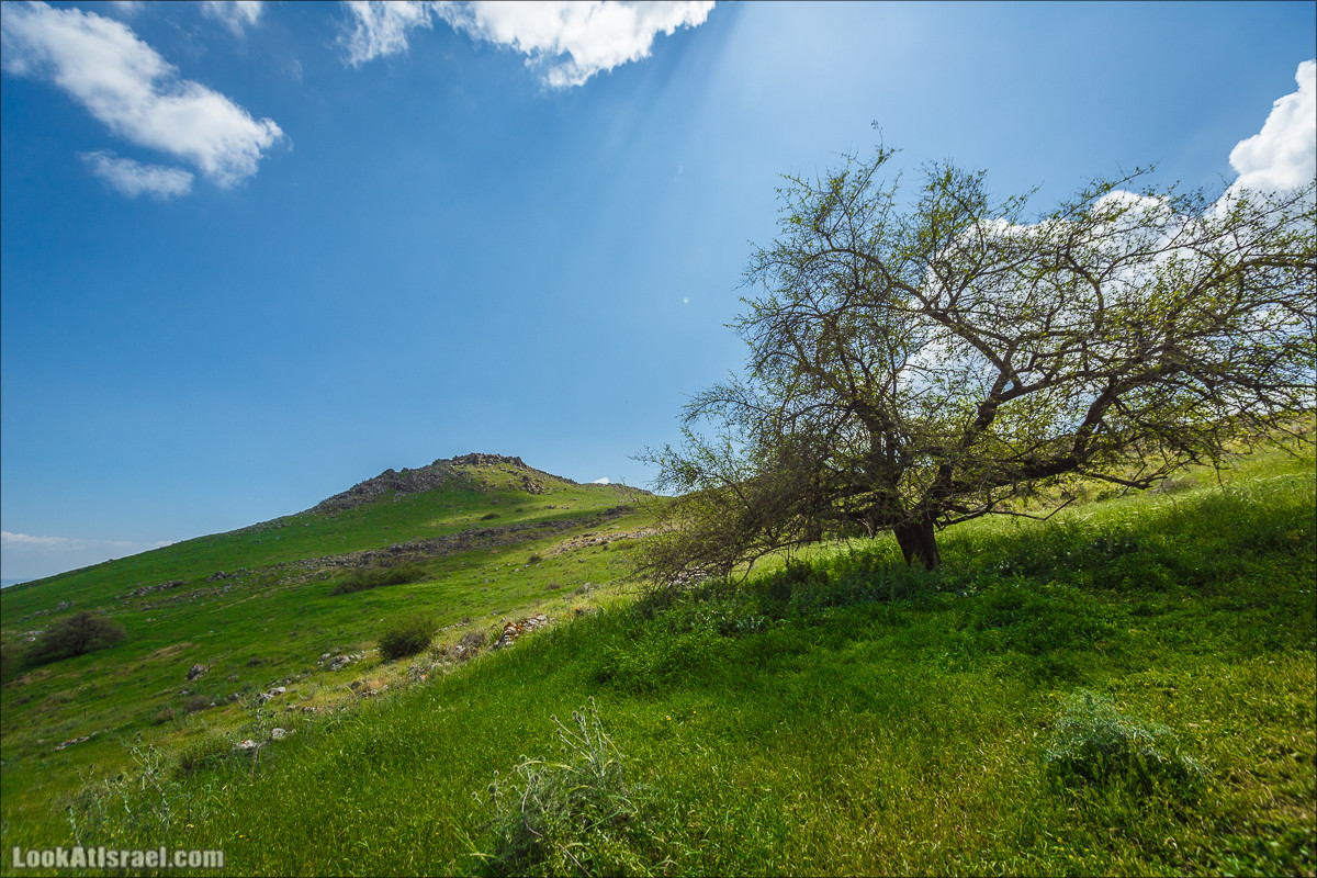 Дорога благой вести. От Карней Хитин к Кинерету | LookAtIsrael.com - Фото путешествия по Израилю