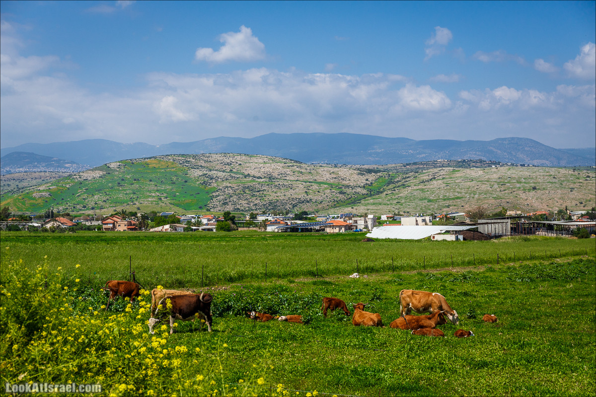 Дорога благой вести. От Карней Хитин к Кинерету | LookAtIsrael.com - Фото путешествия по Израилю