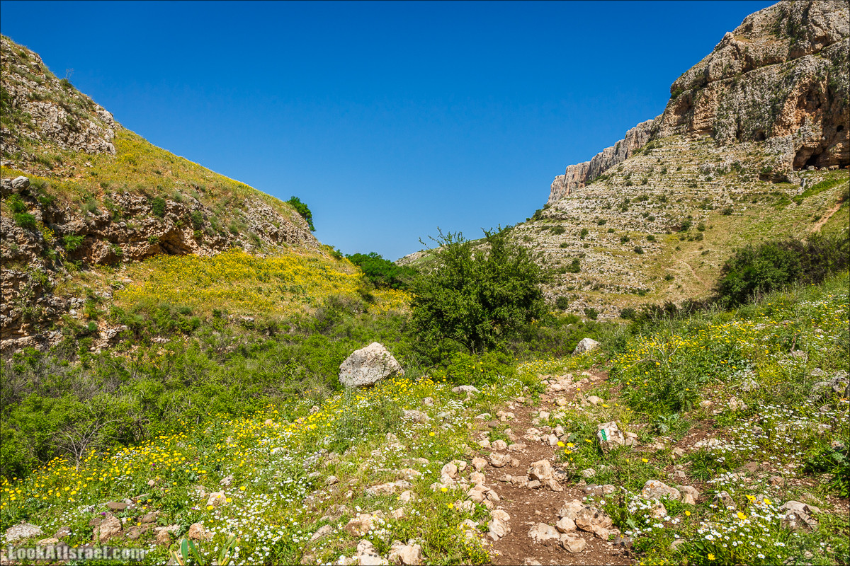 Дорога благой вести. От Карней Хитин к Кинерету | LookAtIsrael.com - Фото путешествия по Израилю