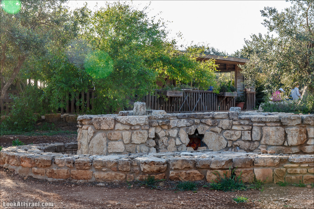Самария: Итамар, Гиват Янох, ферма Гивот Олам | LookAtIsrael.com - Фото путешествия по Израилю