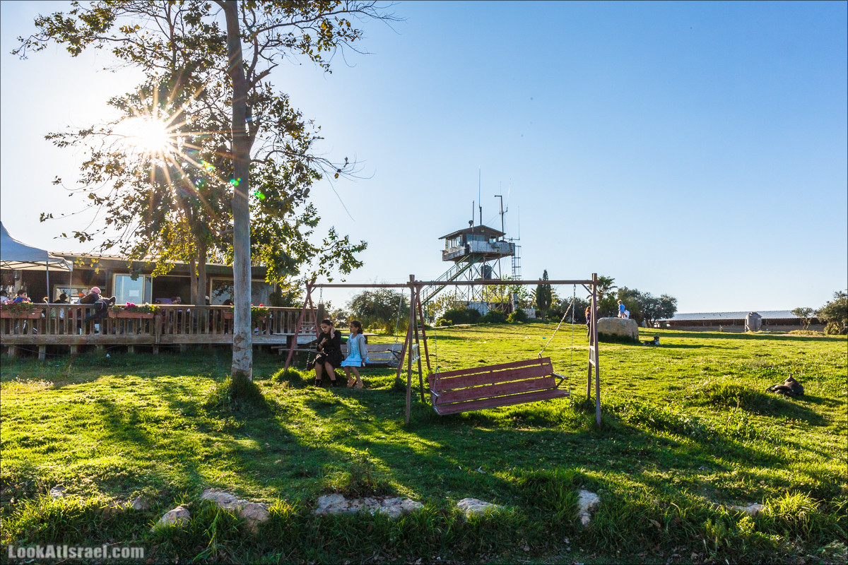Самария: Итамар, Гиват Янох, ферма Гивот Олам | LookAtIsrael.com - Фото путешествия по Израилю