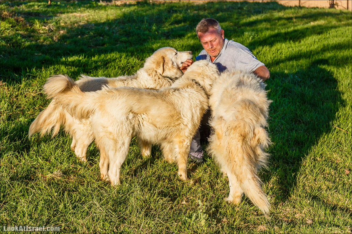 Самария: Итамар, Гиват Янох, ферма Гивот Олам | LookAtIsrael.com - Фото путешествия по Израилю