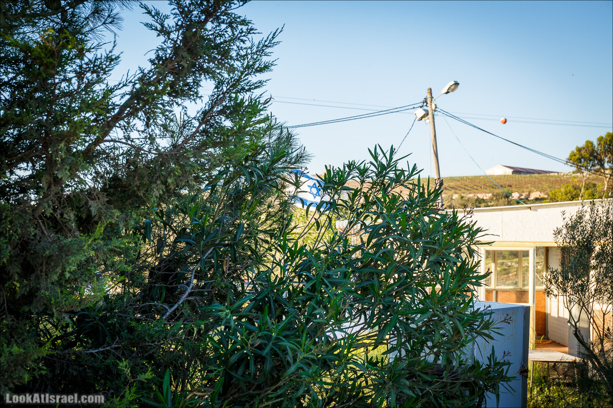 Самария: Итамар, Гиват Янох, ферма Гивот Олам | LookAtIsrael.com - Фото путешествия по Израилю