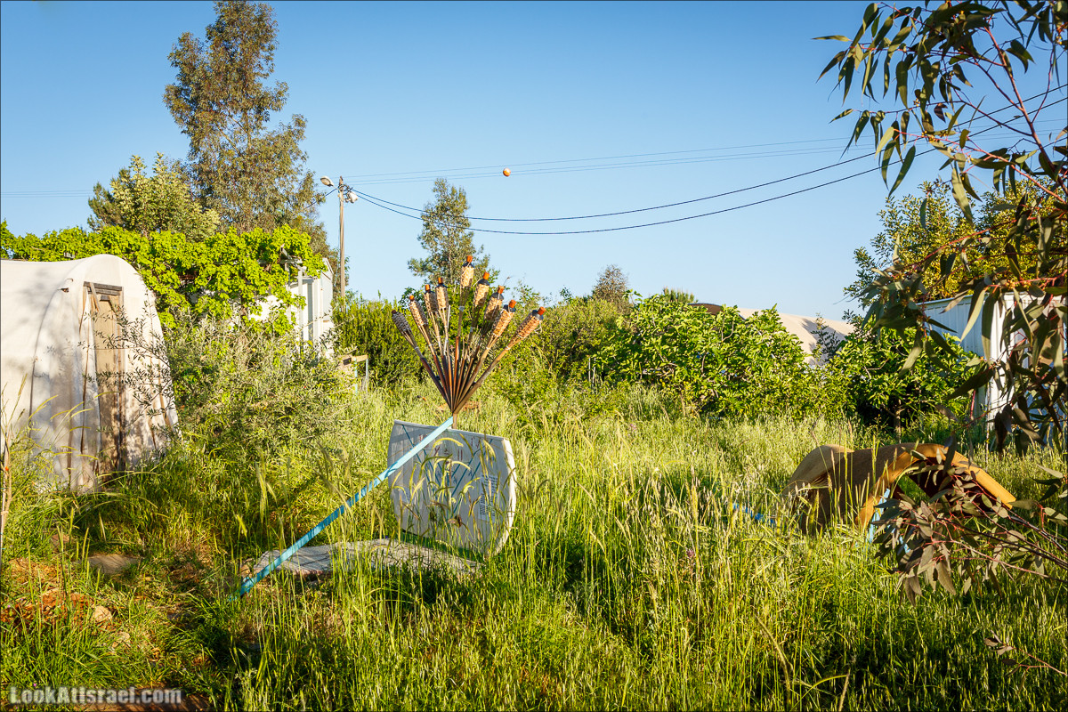 Самария: Итамар, Гиват Янох, ферма Гивот Олам | LookAtIsrael.com - Фото путешествия по Израилю