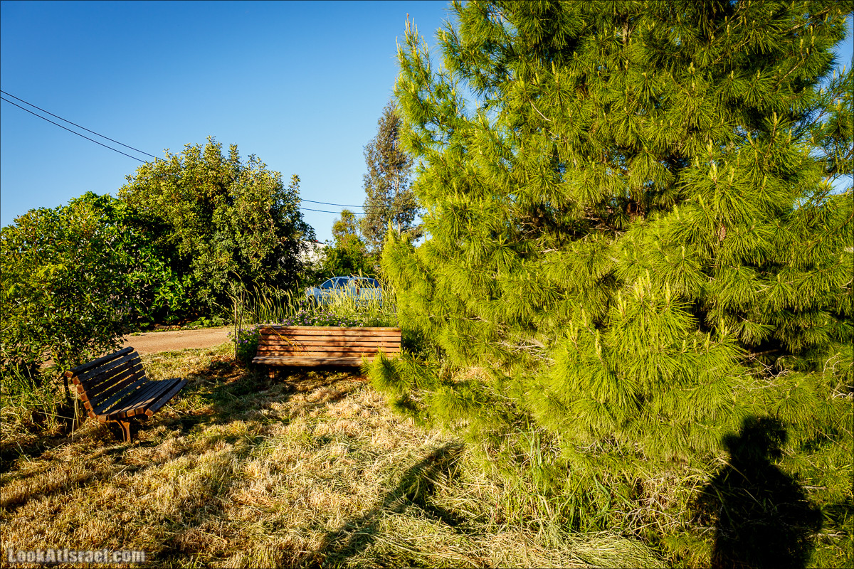 Самария: Итамар, Гиват Янох, ферма Гивот Олам | LookAtIsrael.com - Фото путешествия по Израилю