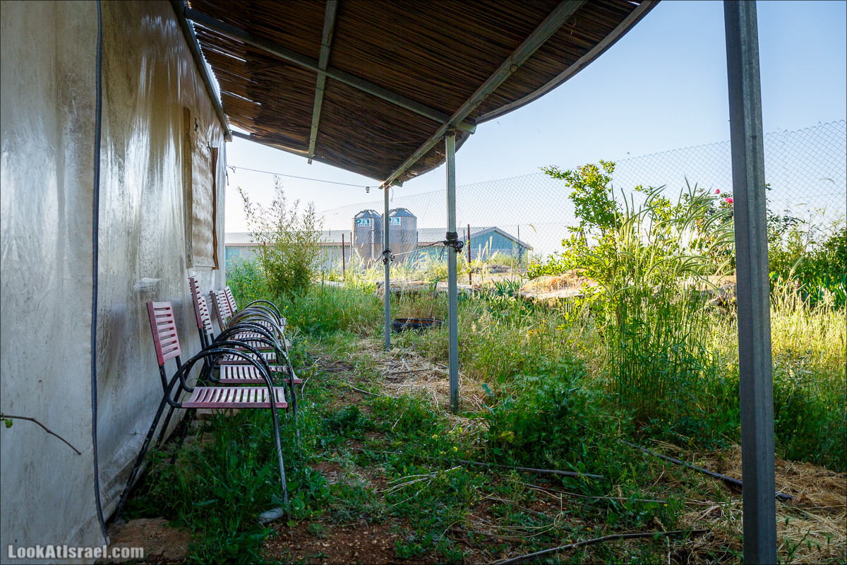 Самария: Итамар, Гиват Янох, ферма Гивот Олам | LookAtIsrael.com - Фото путешествия по Израилю