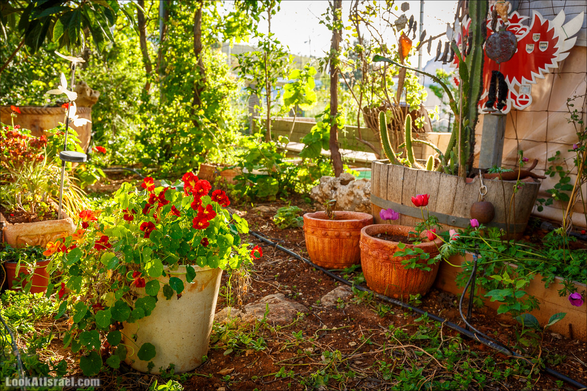 Самария: Итамар, Гиват Янох, ферма Гивот Олам | LookAtIsrael.com - Фото путешествия по Израилю