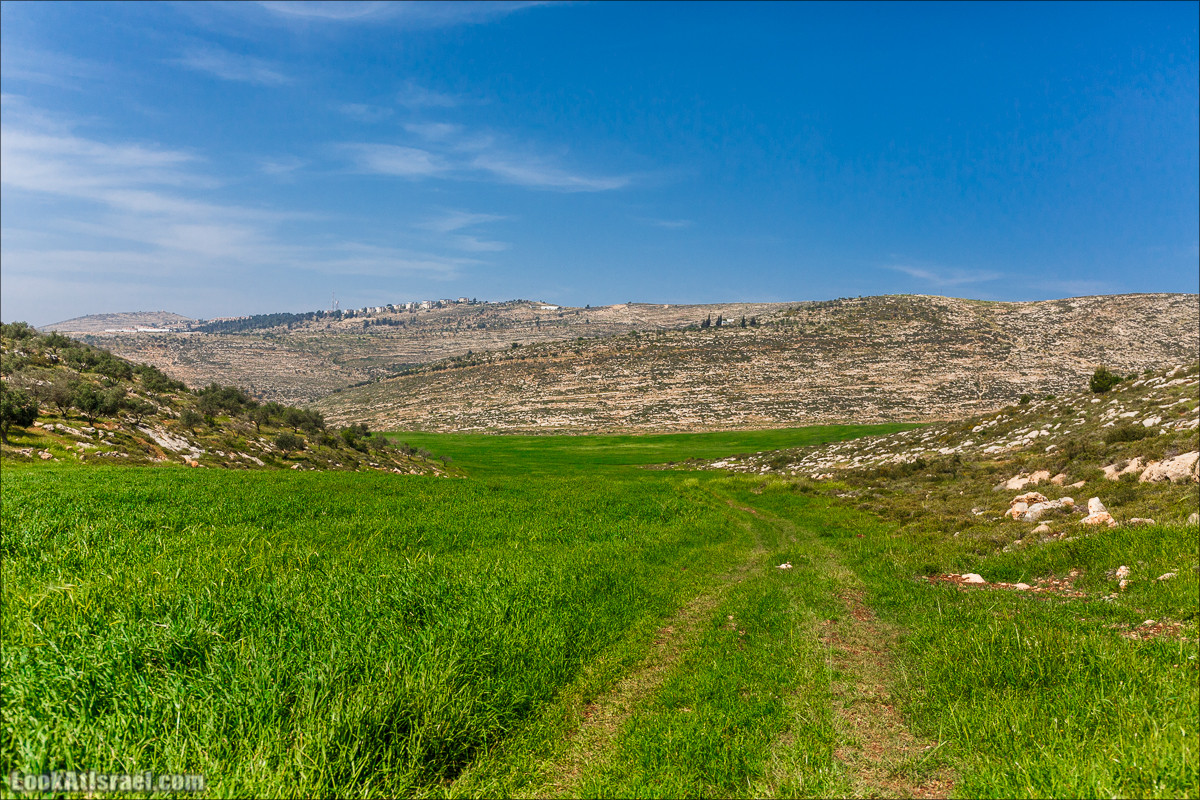 Гора Кабир и цветение самарийского ириса | הר קביר ואירוס שומרוני | LookAtIsrael.com - Фото путешествия по Израилю
