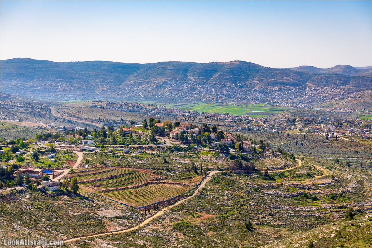 Гора Кабир и цветение самарийского ириса | הר קביר ואירוס שומרוני | LookAtIsrael.com - Фото путешествия по Израилю