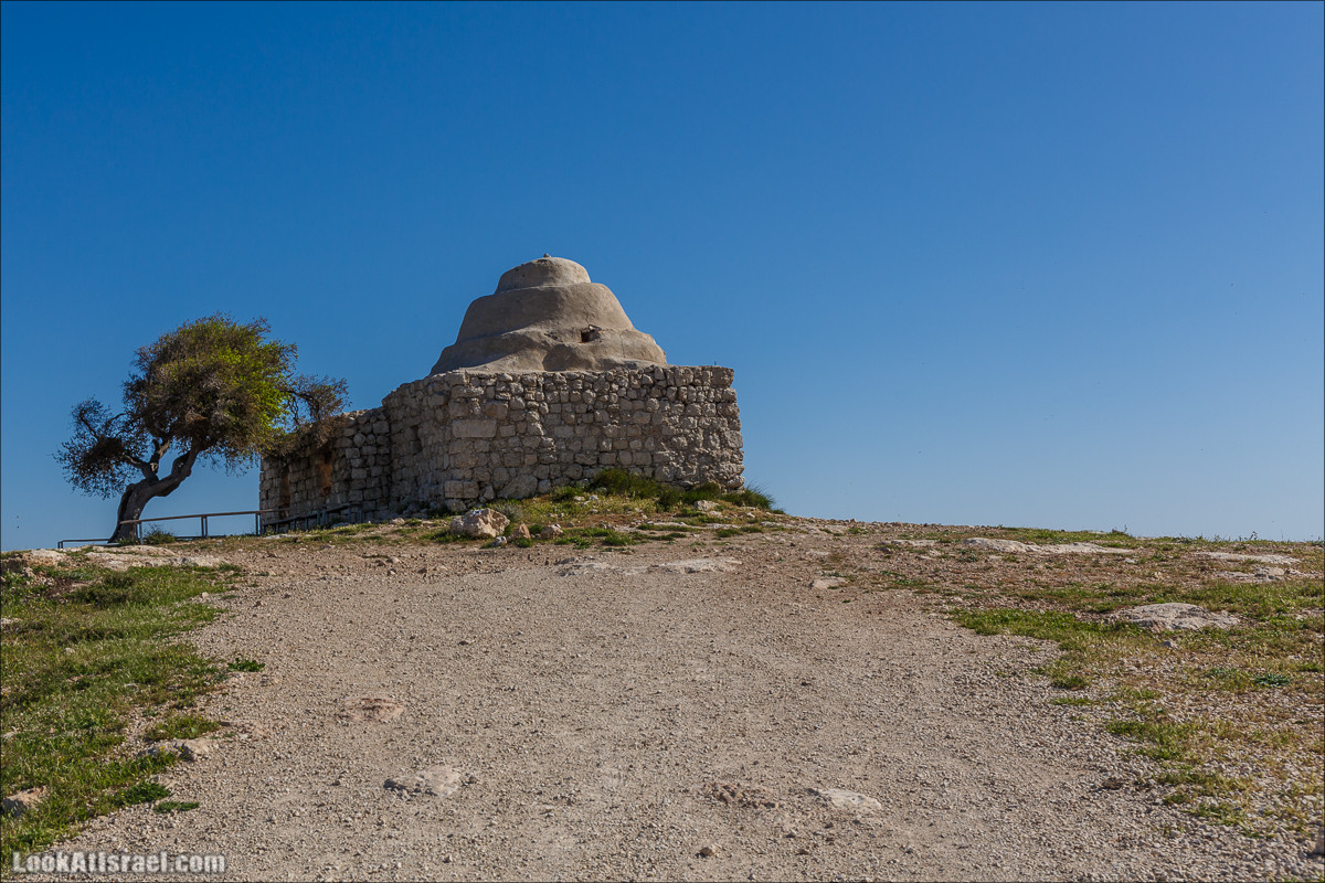 Гора Кабир и цветение самарийского ириса | הר קביר ואירוס שומרוני | LookAtIsrael.com - Фото путешествия по Израилю
