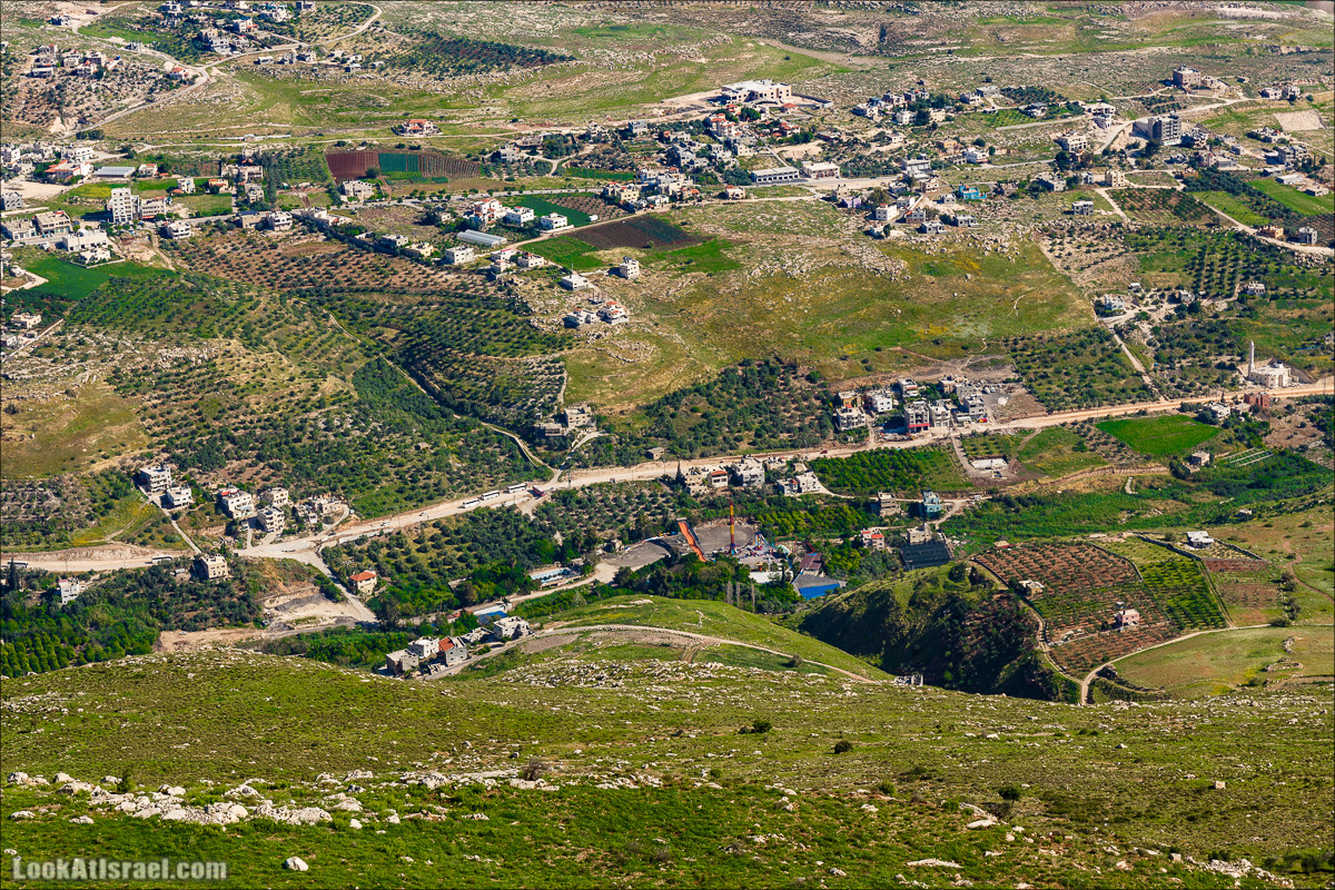 Гора Кабир и цветение самарийского ириса | הר קביר ואירוס שומרוני | LookAtIsrael.com - Фото путешествия по Израилю