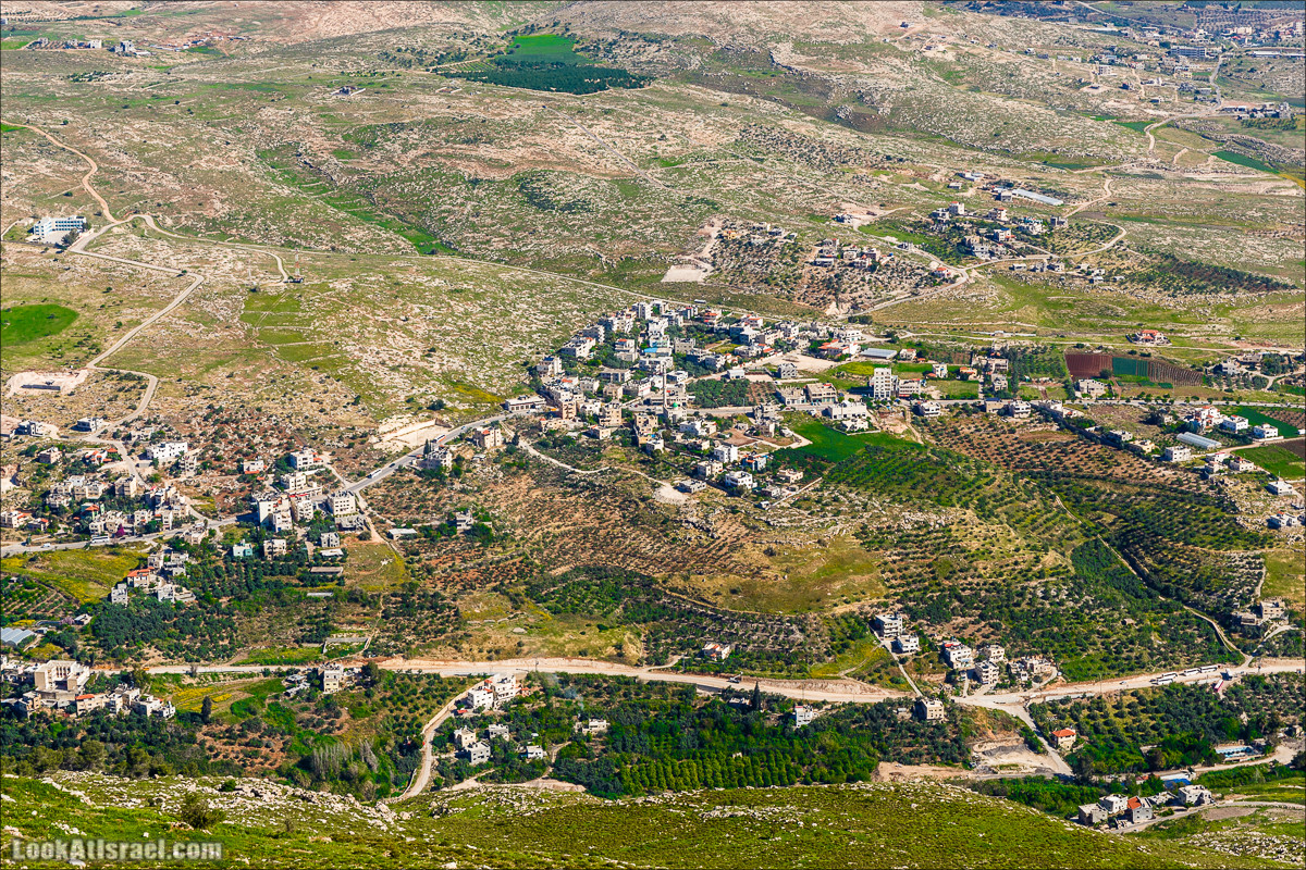 Гора Кабир и цветение самарийского ириса | הר קביר ואירוס שומרוני | LookAtIsrael.com - Фото путешествия по Израилю