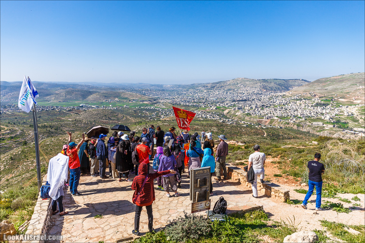 Гора Кабир и цветение самарийского ириса | הר קביר ואירוס שומרוני | LookAtIsrael.com - Фото путешествия по Израилю
