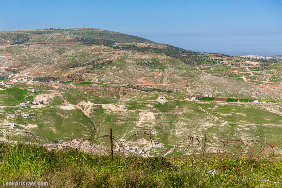 Гора Кабир и цветение самарийского ириса | הר קביר ואירוס שומרוני | LookAtIsrael.com - Фото путешествия по Израилю