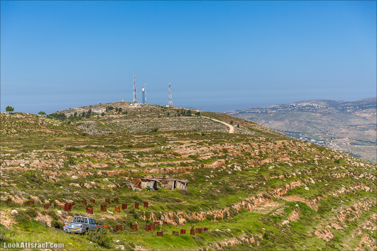 Гора Кабир и цветение самарийского ириса | הר קביר ואירוס שומרוני | LookAtIsrael.com - Фото путешествия по Израилю