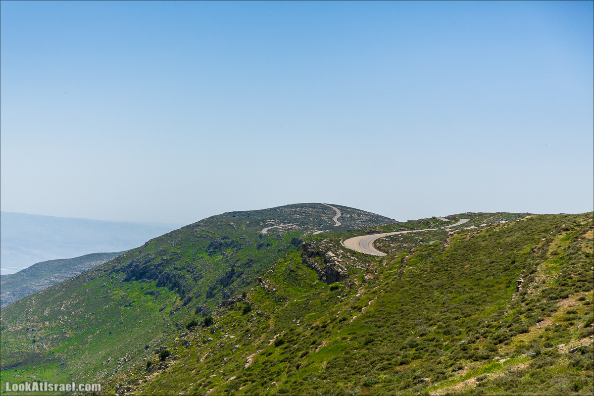 Гора Кабир и цветение самарийского ириса | הר קביר ואירוס שומרוני | LookAtIsrael.com - Фото путешествия по Израилю