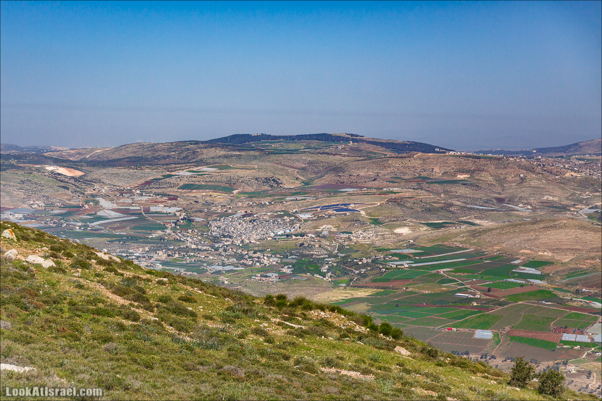 Гора Кабир и цветение самарийского ириса | הר קביר ואירוס שומרוני | LookAtIsrael.com - Фото путешествия по Израилю