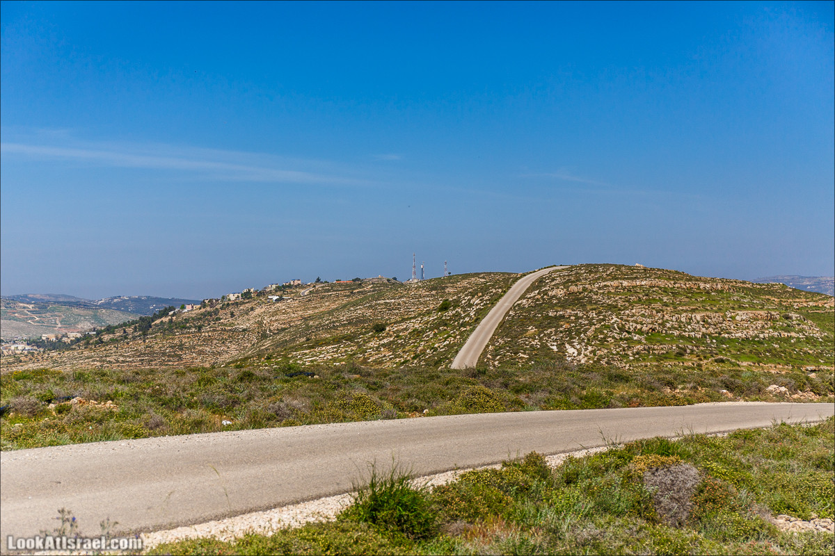 Гора Кабир и цветение самарийского ириса | הר קביר ואירוס שומרוני | LookAtIsrael.com - Фото путешествия по Израилю