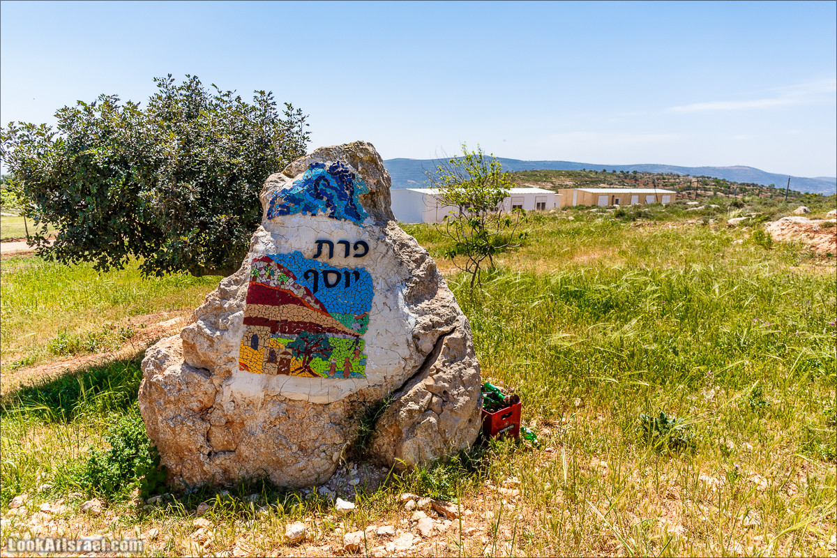 Гора Кабир и цветение самарийского ириса | הר קביר ואירוס שומרוני | LookAtIsrael.com - Фото путешествия по Израилю