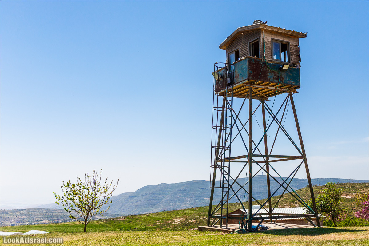 Гора Кабир и цветение самарийского ириса | הר קביר ואירוס שומרוני | LookAtIsrael.com - Фото путешествия по Израилю