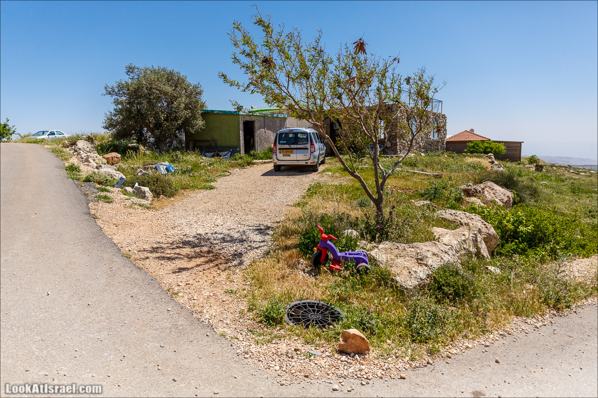 Гора Кабир и цветение самарийского ириса | הר קביר ואירוס שומרוני | LookAtIsrael.com - Фото путешествия по Израилю
